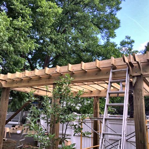 A timber pergola under construction with ladders and rafters in place