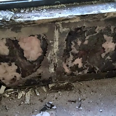 A rotten wall plate and damaged framing exposed at the base of a wall during repairs